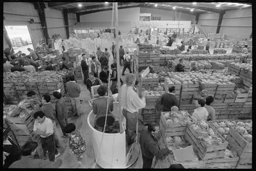 Image: The Grenada North fruit, vegetable and cut-flower markets, Wellington - Photograph taken by John Nicholson