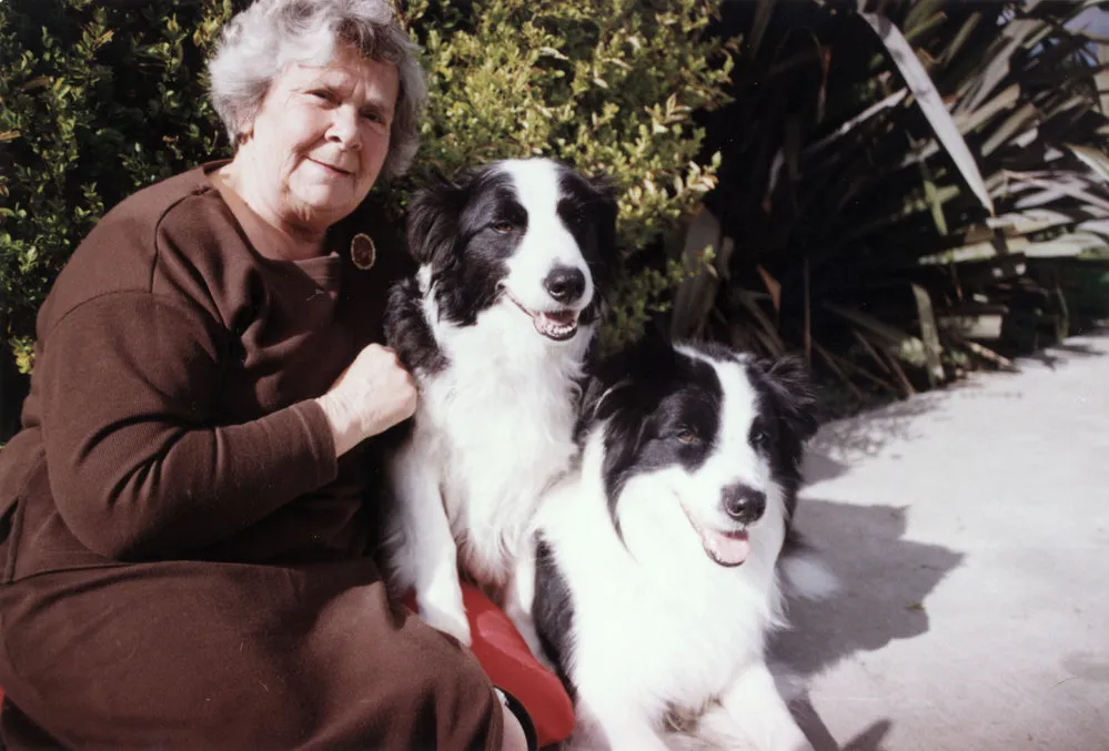 Beryl Keinzley; border collies win agility intermediate and starters events at Pedigree Pal national dog show.