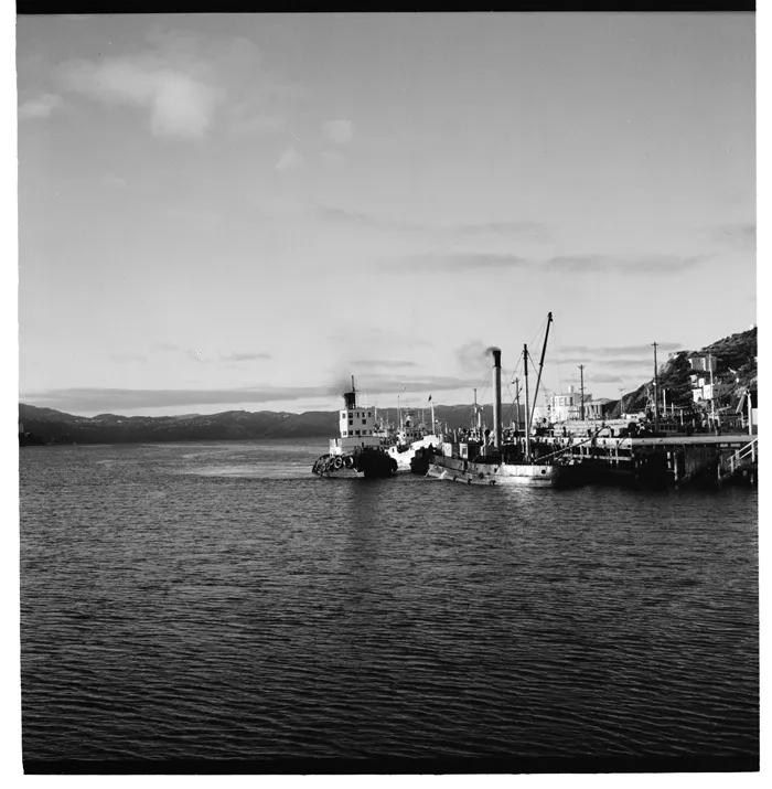 Fishing vessels at Shelly Bay wharf