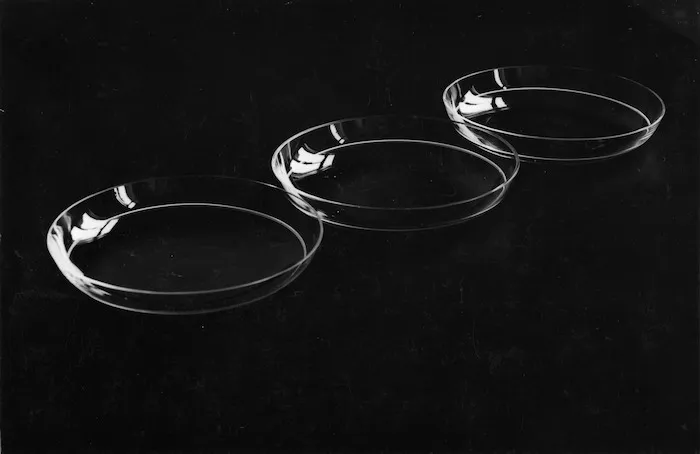 Photograph of three shallow clear glass bowls
