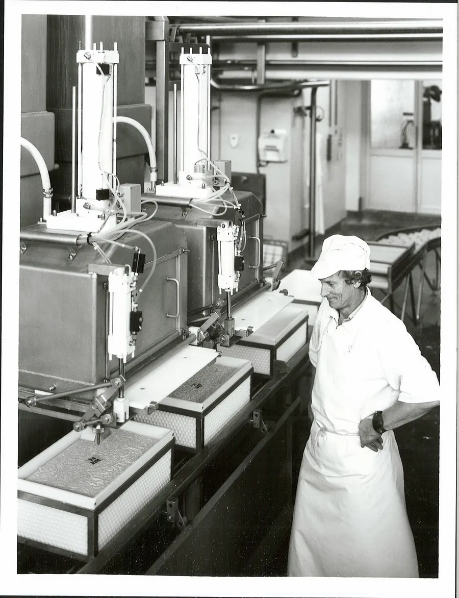 Agriculture - Dairy Factories - Cheese