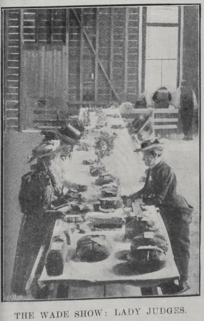 The Wade Show: Lady Judges