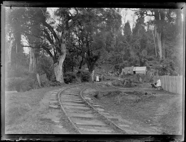 Image: Rural settlement, including children on [timber tram] track and girl playing with dog, Kakahi, Manawatu-Whanganui region