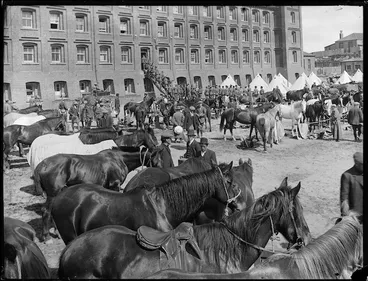 Image: Scene at Mount Cook Barracks, Wellington, during the 1913 waterfront strike, showing horses for the Mounted Special Police