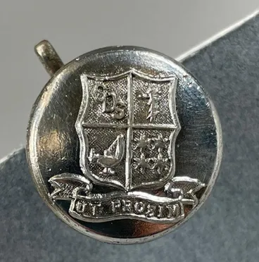 Image: Dental Nurse Belt Button