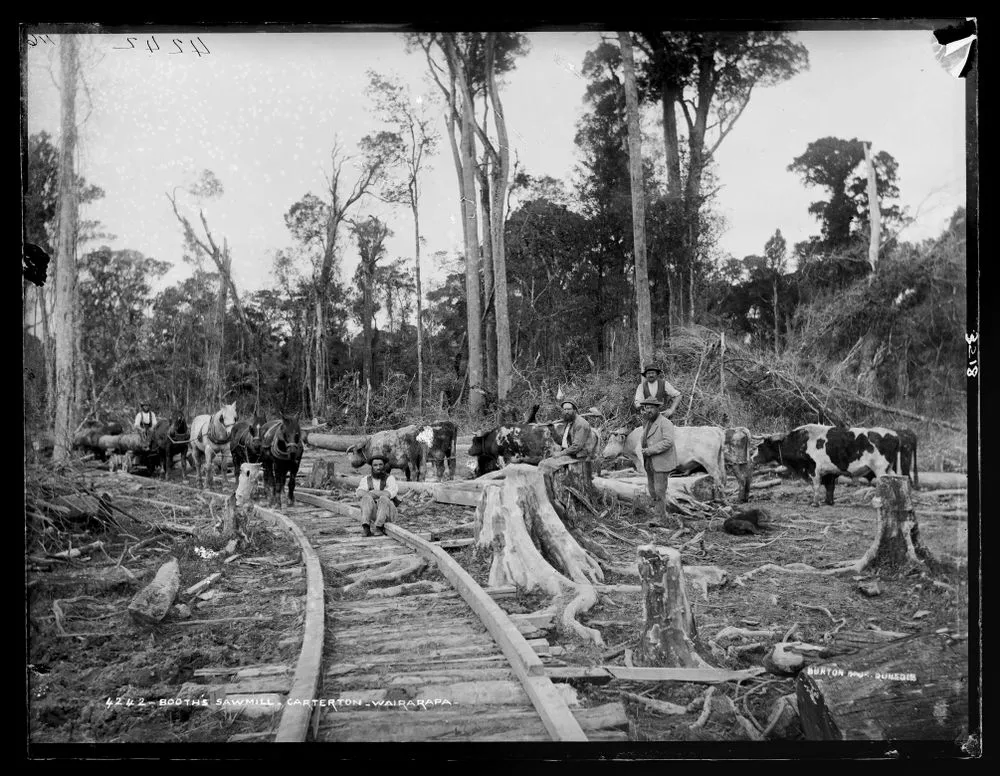 Booth's Sawmill, Carterton, Wairarapa