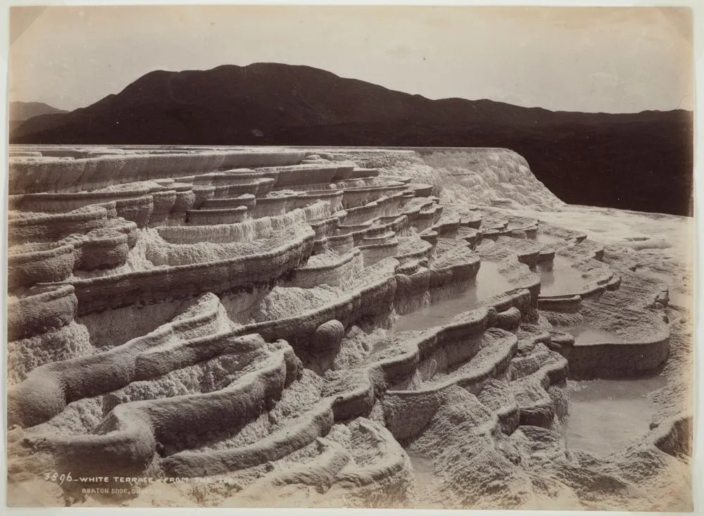 White Terrace - from the top