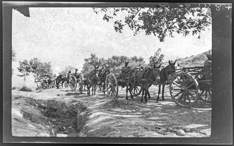 Untitled [procession of carts drawn by donkeys]