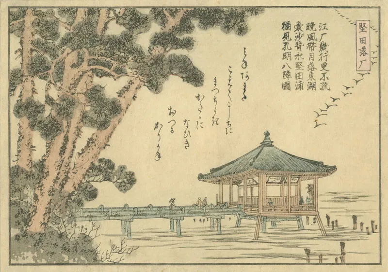 Geese flying over Katada