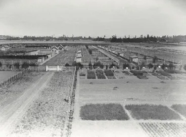 Image: Ruakura Experimental Station