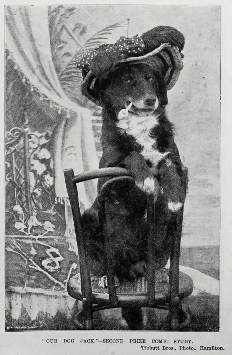 'Our dog Jack', second prize comic study