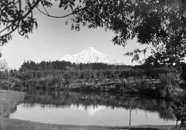 Image: Ngaere Gardens