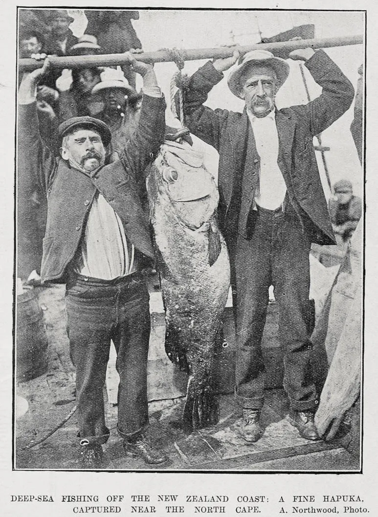 Deep-Sea Fishing Off The New Zealand Coast