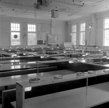Image: 4D Housie Hall, Cnr Fergusson Drive and Camp Road