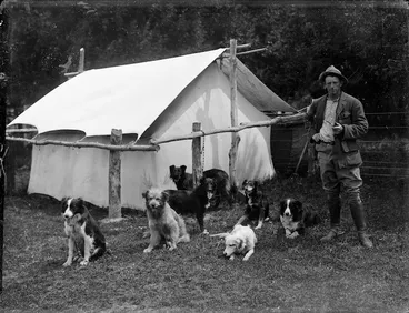 Image: Back station shepherd and his dogs