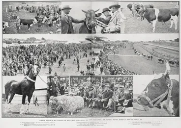 Image: Striking Success of New Zealand's 1926 Royal Show Conducted by the Auckland Agricultural and Pastoral Society
