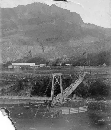 Image: Sheep Droving