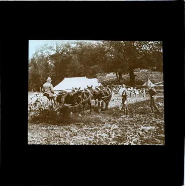 Image: Soldiers attending Farming class at Convalescent Hospital, Hornchurch
