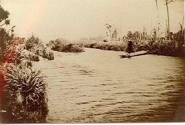 Image: Hokio Stream and eel weir