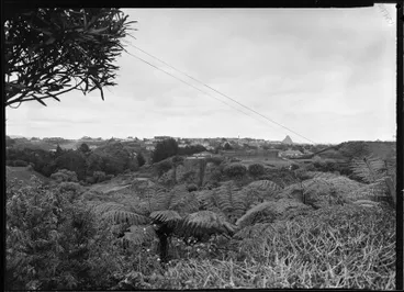 Image: New Plymouth Prison