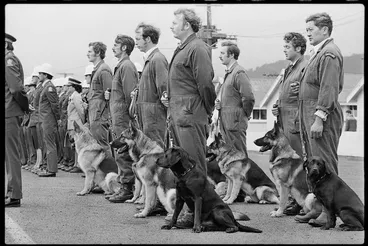Image: Dogs and handlers at Trentham Police College - Photograph taken by Merv Griffiths