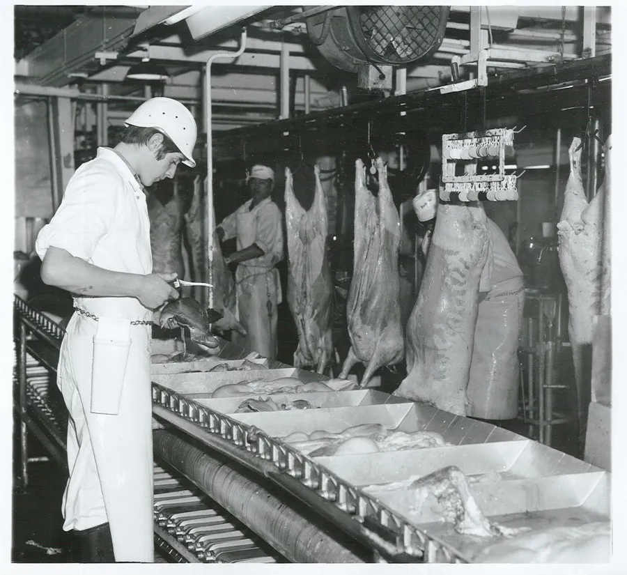 Food - Meat - Inspection