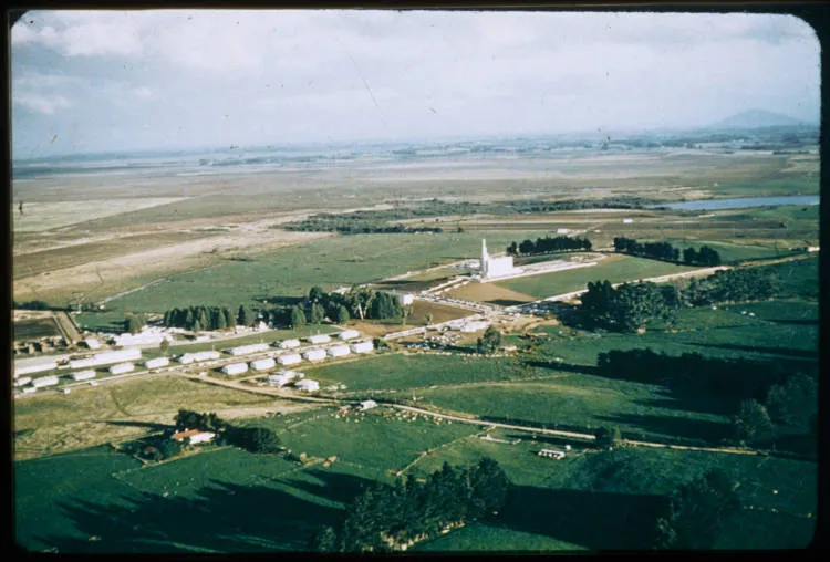 Temple View, Hamilton