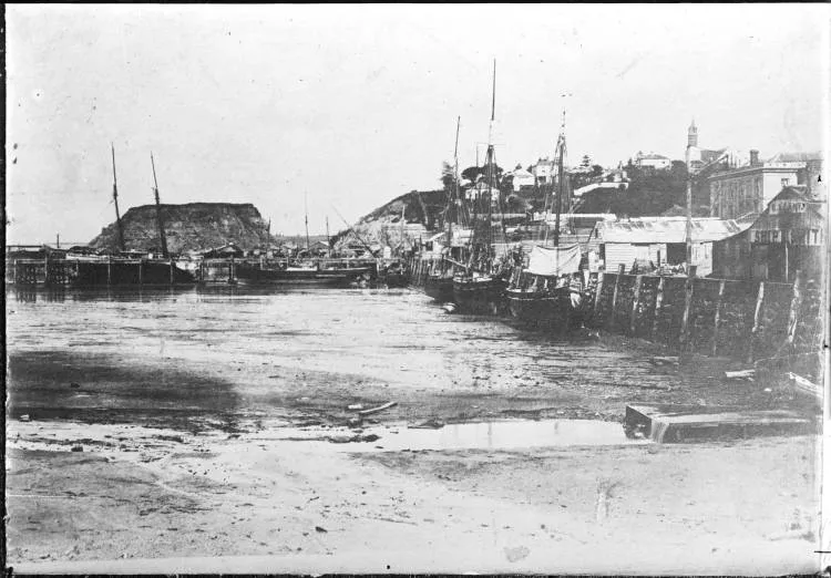 Point Britomart from Queen Street Wharf, 1876