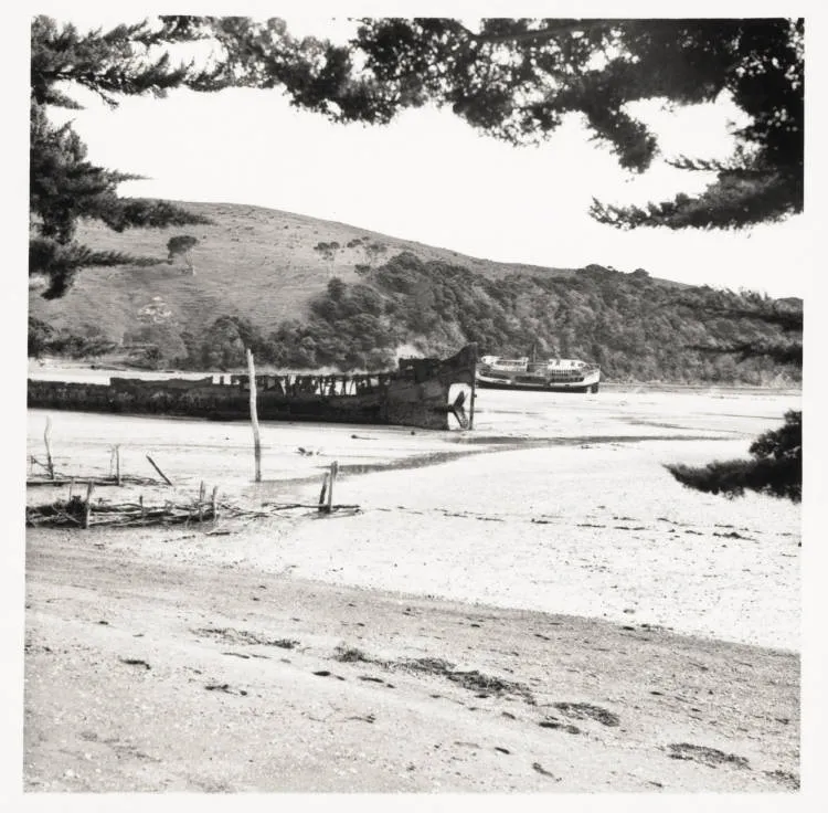 Wrecks in Oranga Bay, Ponui Island