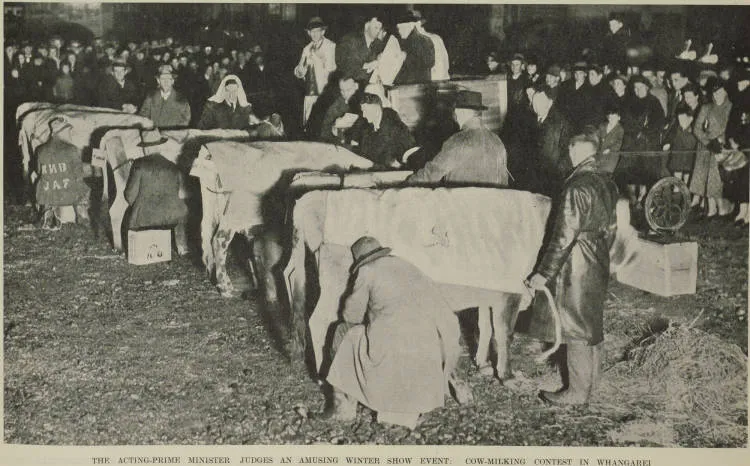 The acting-Prime Minister judges an amusing winter show event: cow-milking contest in Whangarei