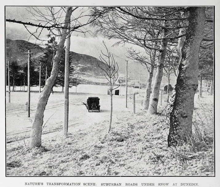 Nature's transformation scene: suburban roads under snow at Dunedin