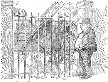 Image: With the Niagara lesson m mind, the Mayor of Auckland has telegraphed to the Minister of Health pleading that the R.M.S. Makura,, due at Auckland m a few days, will be quarantined, if necessary. It was subsequently stated that the vessel m question (the Makura) was free  of the "flu." ��� (NZ Truth, 30 November 1918)