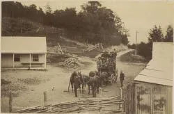 Springfield Coach at Bealey, New Zealand, 1894 / J.R