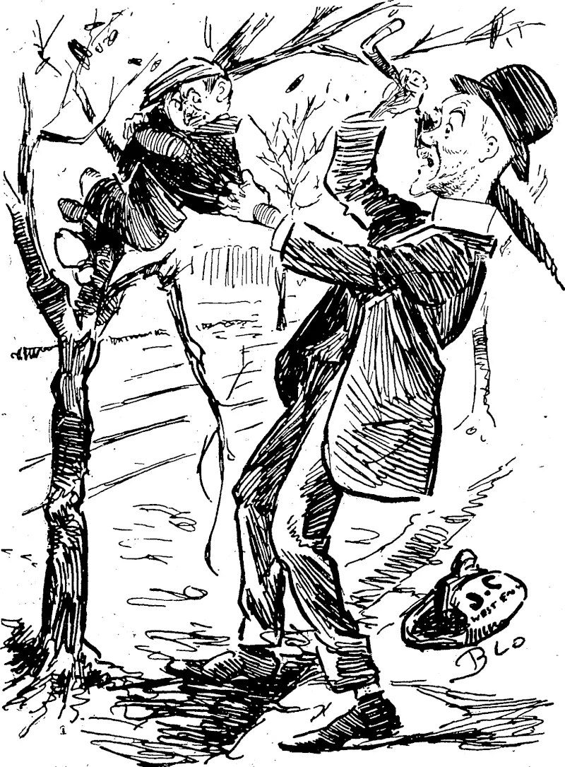 AST ARBOR DAY HERO. City Councillor: Come down out of that, you young scoundrel! How dare V��� UU us that the trees belong to us, and when I come to take possession you bully me. (Observer, 27 July 1912)