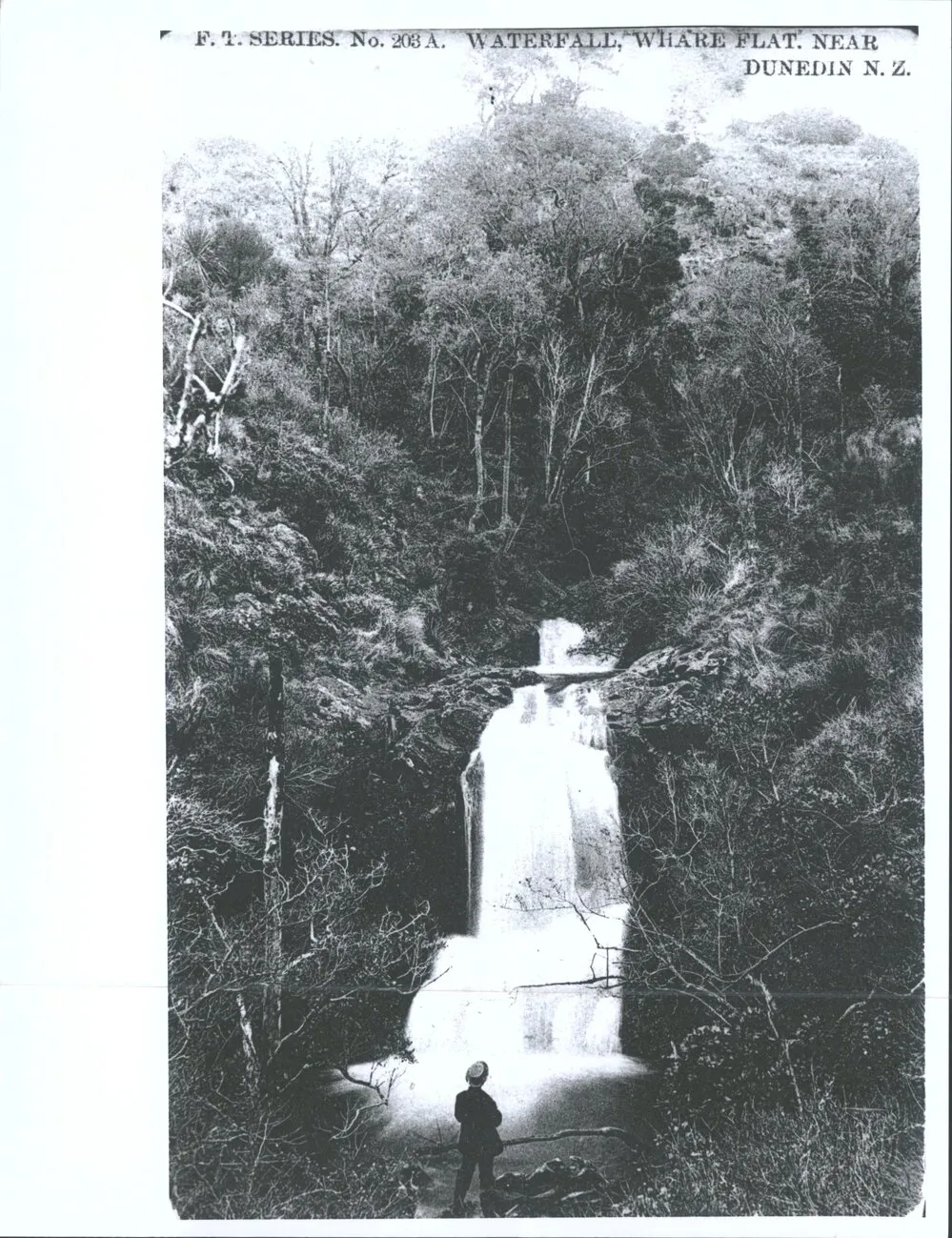 Waterfall, Whare Flat. Near Dunedin, N.Z.