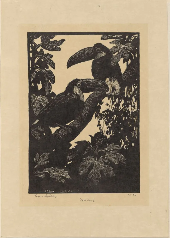 Toucans