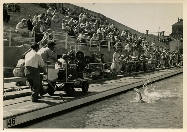 British Empire Games, 1950