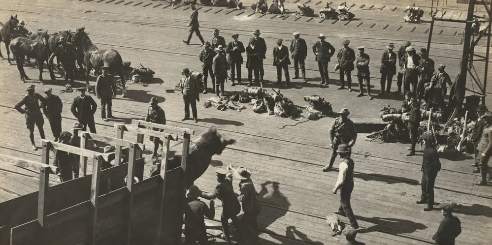 Photo from page 04 of album WWI Photograph Album of Francis William Randell