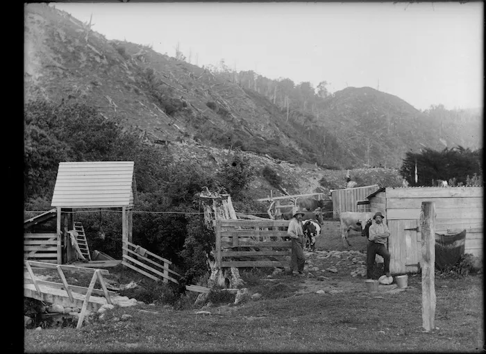 Dairy farm in Otaki Gorge