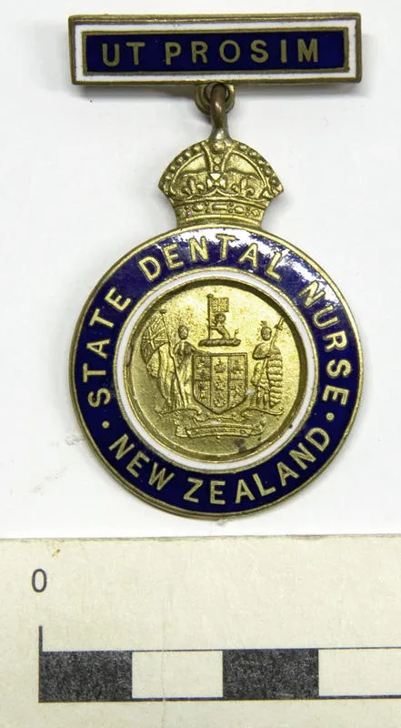 Badge, Dental Nurse's