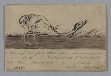 Image: Mantell, Walter Baldock Durrant 1820-1895 :The unfortunate Moa, what was mired in the Slough of Despond at Waikouaiti in New Zealand. Anno Mundi??? 1849