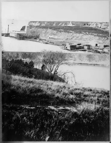 Image: Mechanics Bay from Constitution Hill, 1875