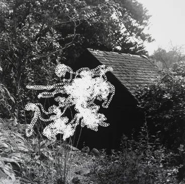 Image: The sanctuary: Melbourne (hut)