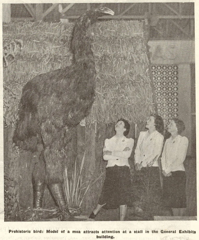 Prehistoric bird: model of a Moa attracts attention at a stall in the general exhibits building