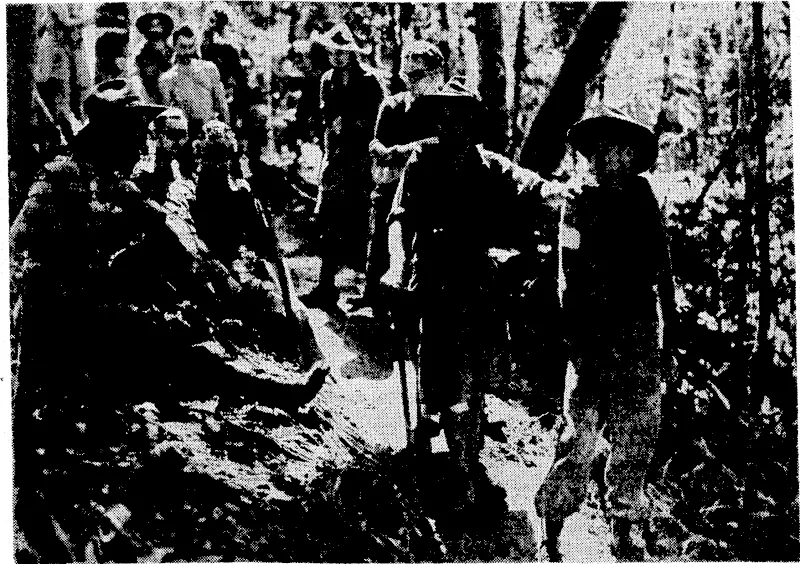 A group of wounded Australian soldiers returning from the jungle. This is one of the first pictures to reach Neiu Zealand of Australian troops, who have been fighting the Japanese in the Kokoda area. To reach a base hospital they had to walk for nearly six days\along jungle tracks. (Evening Post, 30 September 1942)
