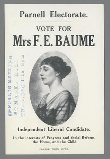 Image: Parnell Electorate