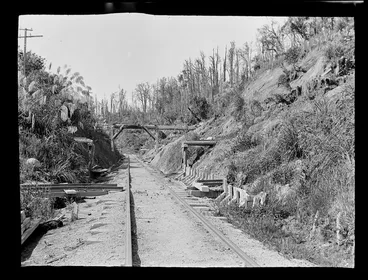 Image: A railway line cutting through a hillside with branch lines, a bridge and forest beyond, Kakahi District, Manawatu-Whanganui Region