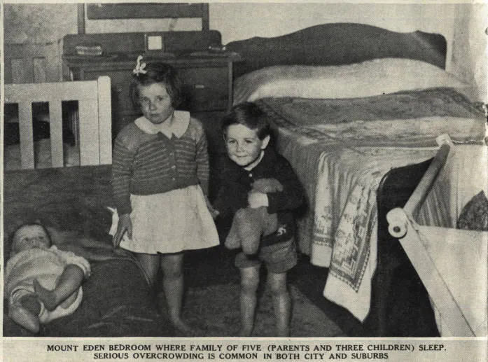 Auckland City Council survey finds overcrowding rife in many Auckland suburbs