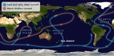 Image: Great ocean conveyor belt