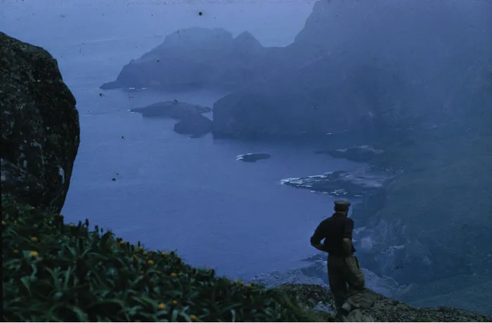 View along the south coast of Campbell Island from the west shoulder of Mount Dumas